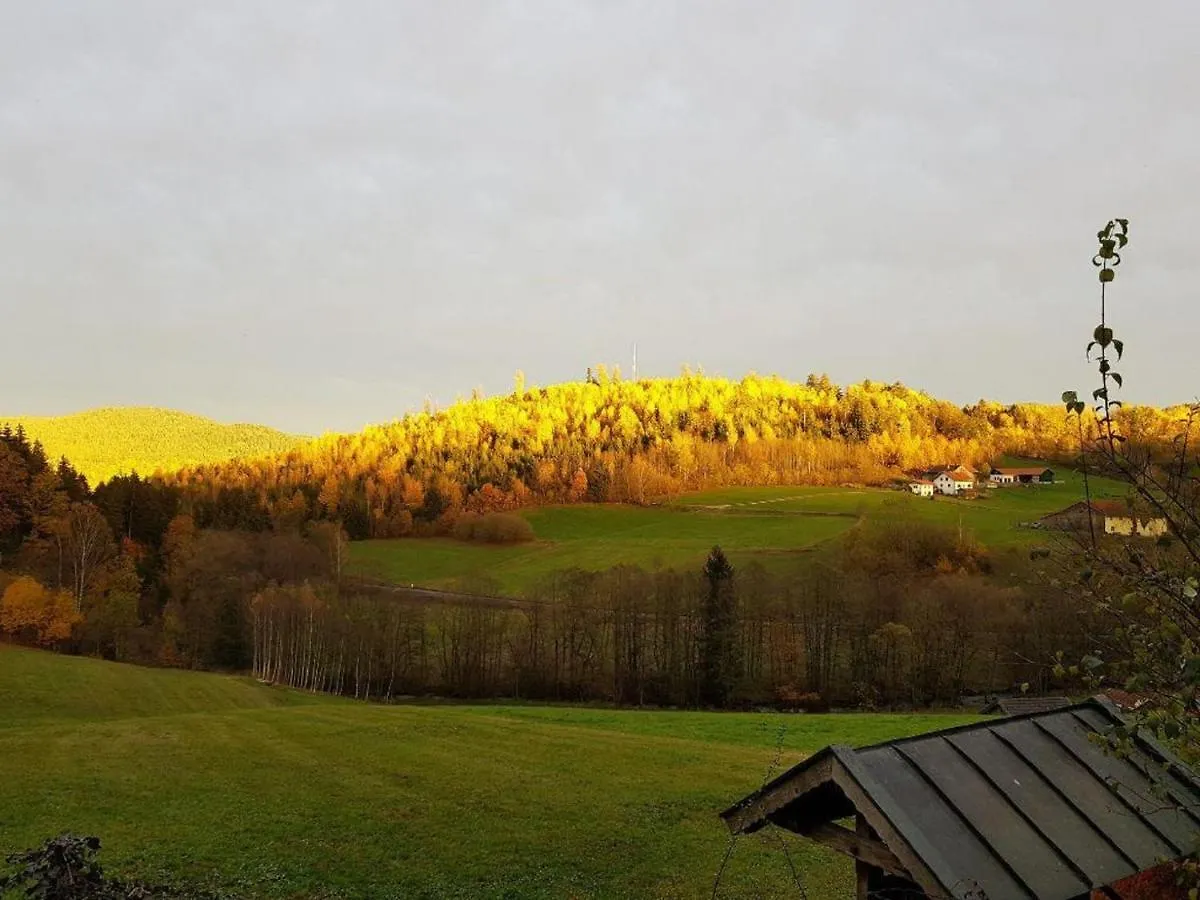 Ferienwohnung Haus am Osterbrünnl Ruhmannsfelden Apartment